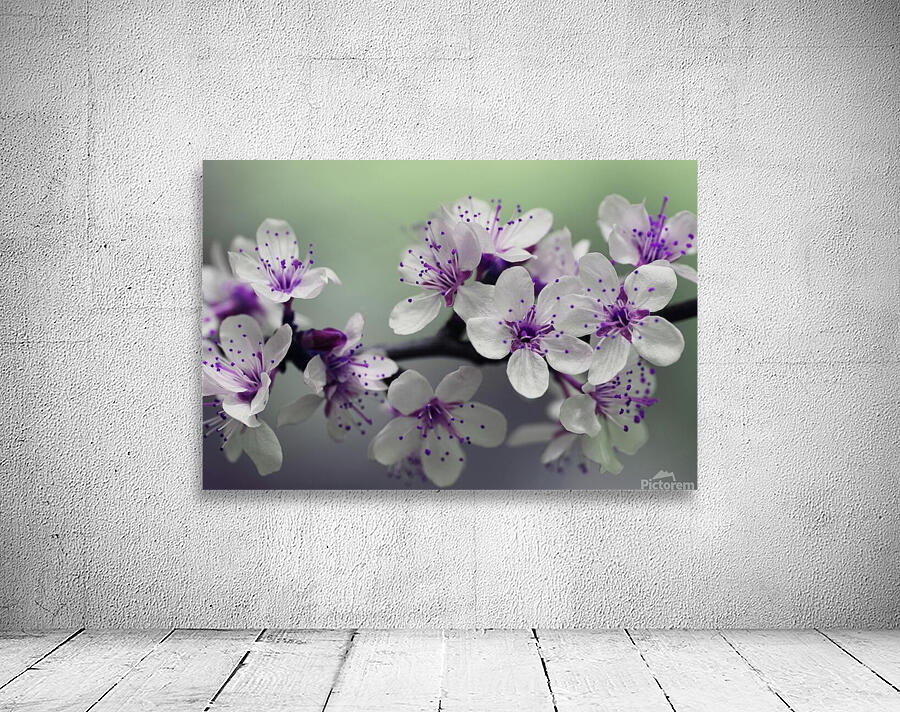 Pink Petals Wall Preview