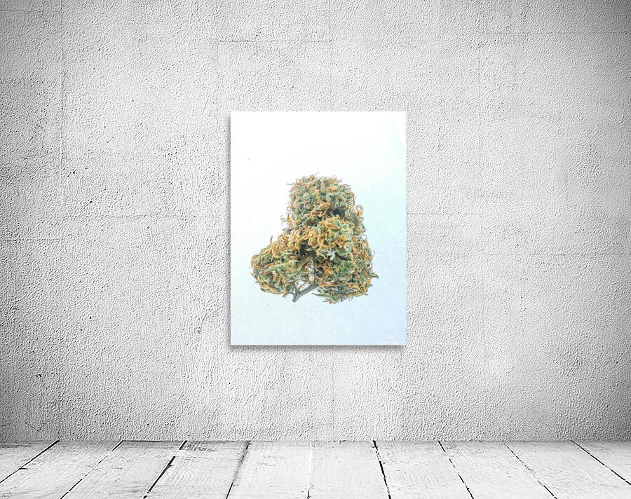 Flower rasta Wall Preview