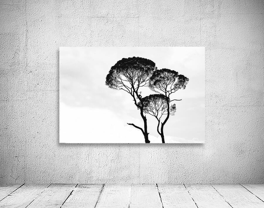 Tree twins Wall Preview