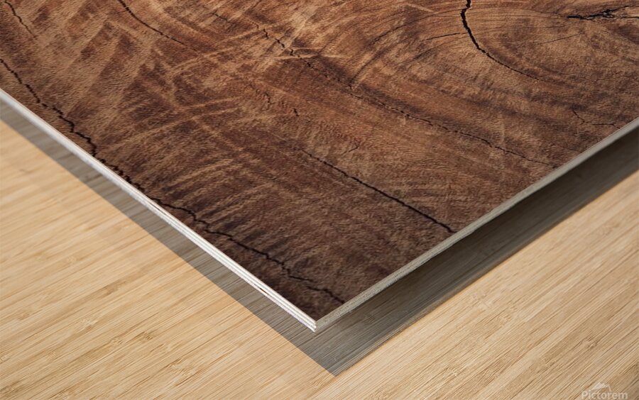 Wood wall Wood print