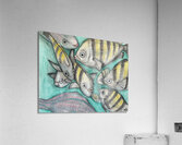 Collection TREASURE OF THE SEA - Fish Acrylic Print