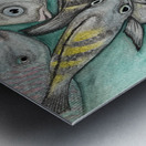 Collection TREASURE OF THE SEA - Fish Metal print