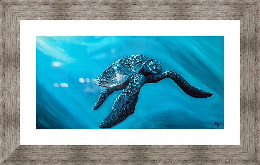 Collection HAWAII - Turtle 2 Picture Frame print