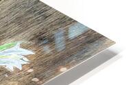 Collection WAVES - Nosara beach HD Metal print