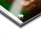 HOW Acrylic print