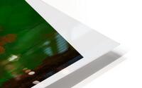 HOW HD Metal print