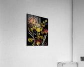 Protea and Kangaroo Paws Acrylic Print