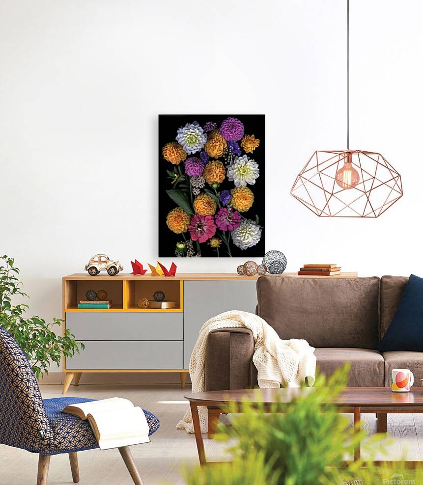 Multi color Dahlias   Reproduction