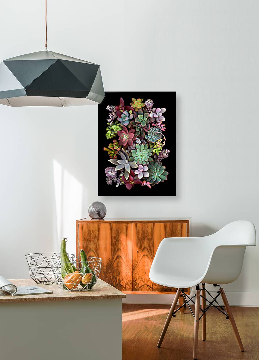 Succulent Montage Reproduction