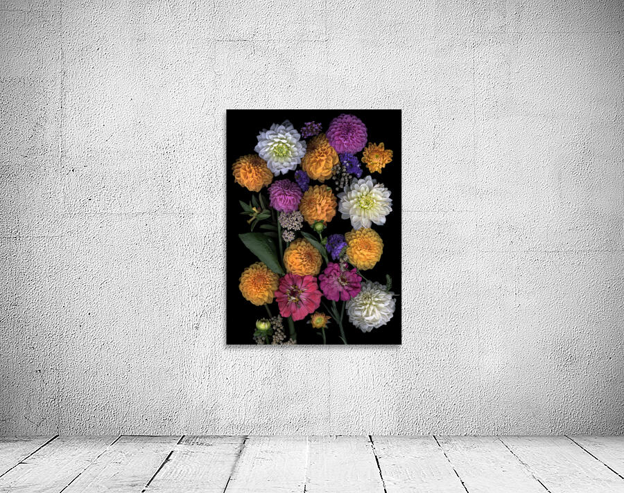 Multi color Dahlias   Wall Preview