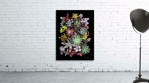 Succulent Montage Wall Preview