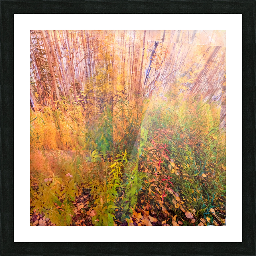 Autumnal Picture Frame print