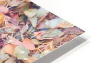 Compost HD Metal print