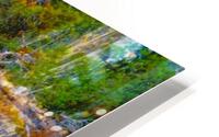  Fallen in a meadow HD Metal print