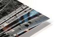 Untitled 1 HD Metal print