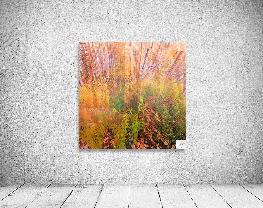 Autumnal Wall Preview