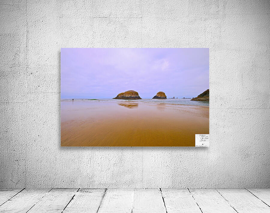 Cannon Beach Oregon Wall Preview