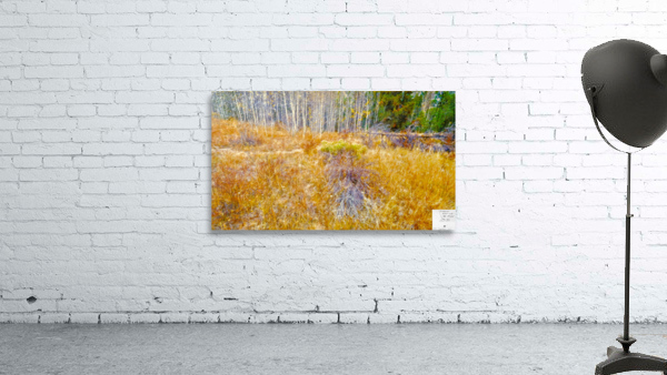 Fallen in a meadow Wall Preview