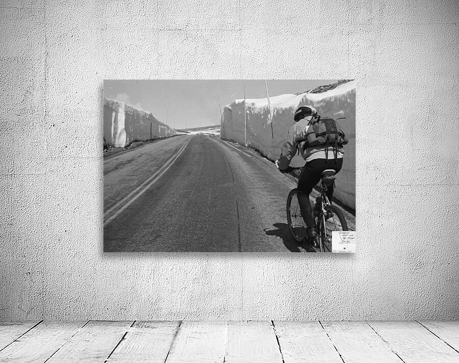 riding toward spring Wall Preview