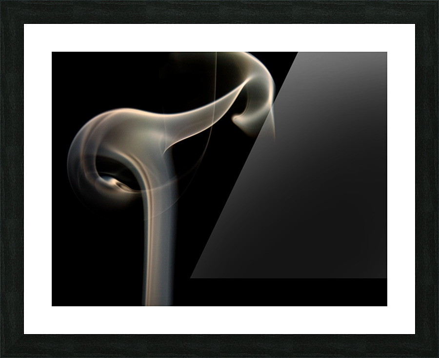 Elephant Picture Frame print
