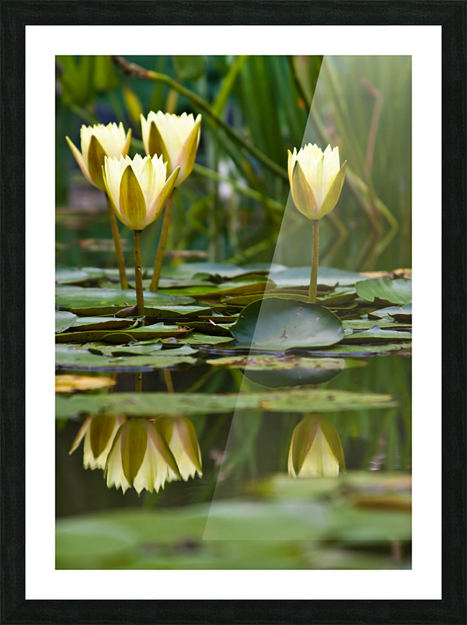 WaterColor Picture Frame print