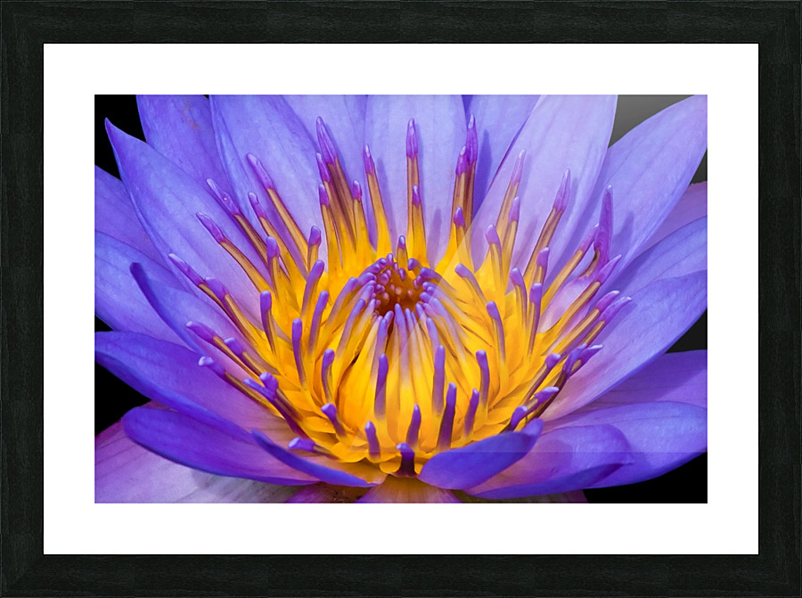 Explosion Picture Frame print