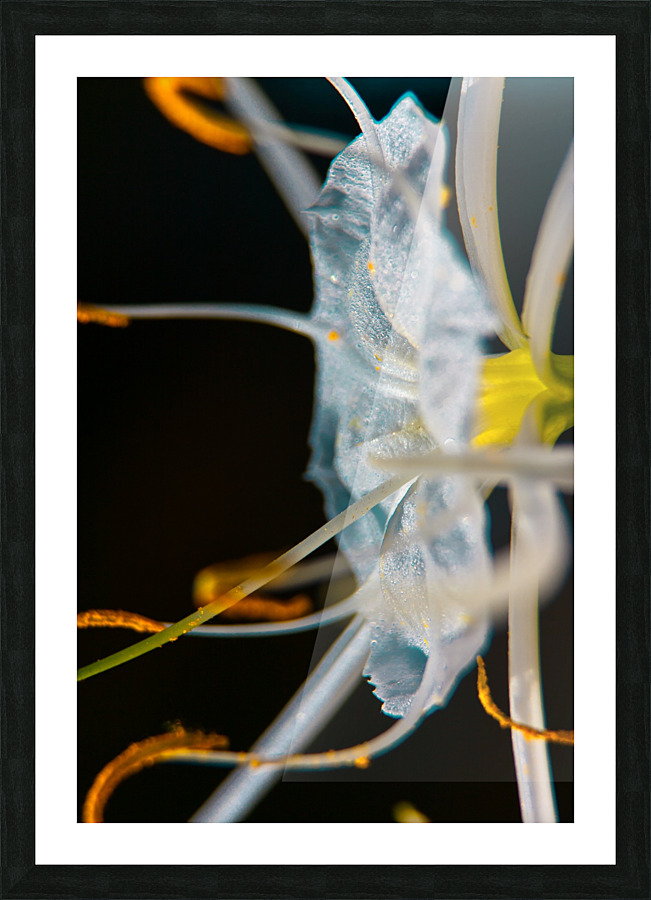 DeepSeaVoyager Picture Frame print
