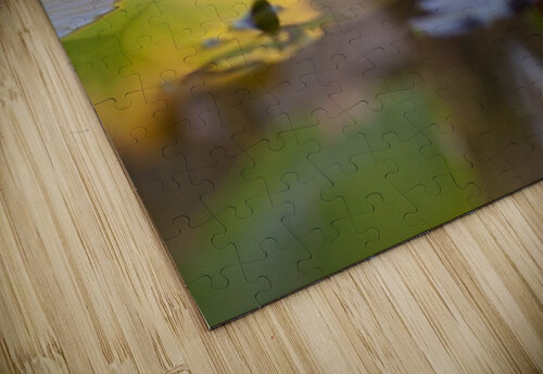 Arise Perspectives by Byron puzzle