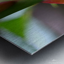 Macro Photography Metal print