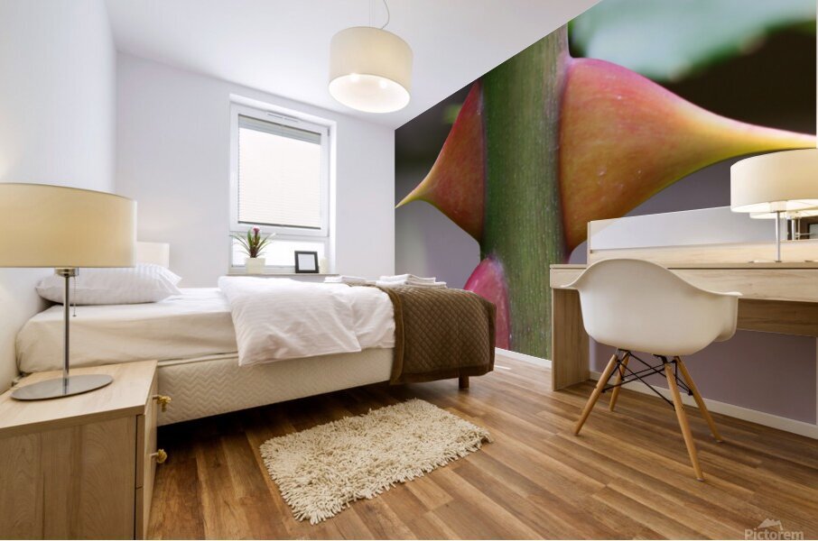 Macro Photography Mural print