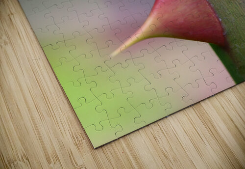 Macro Photography Vido Photography puzzle