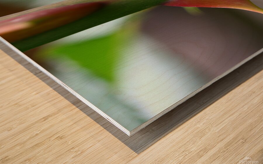 Macro Photography Wood print