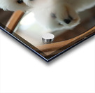 Thoughtful Bichon Frise Puppy Contemplates Its Mirror Reflection Impression Acrylique