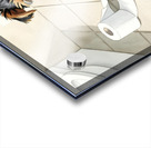 Brown Yorkshire Terrier Puppy With Unrolled Toilet Paper Trail Acrylic print