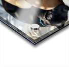 Sleepy Brown Dachshund Puppy Cuddling With Tired Siblings Impression Acrylique