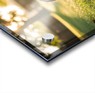 Brown Dachshund Puppy Waking Up In Sunny Garden Acrylic print