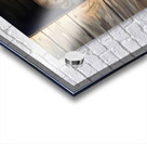 Golden Retriever Puppy Sleeping With Puppy Friends Acrylic print