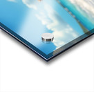 Yorkshire Terrier Puppy Discovers The Beach Acrylic print