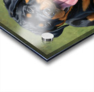 Exhausted Rottweiler Puppy Rests After Fun Playtime Impression Acrylique