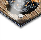 Curious Cane Corso Puppy Peeks From Doghouse Acrylic print