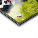 Happy Border Collie Puppy After Dandelion Discovery Acrylic print