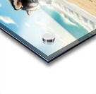 Siberian Husky Puppy Discovers Sandy Beach Fun Acrylic print