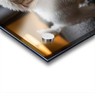 Poodle Puppy Discovers Rainy Day Adventure Acrylic print