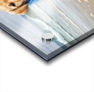 Shivering Labrador Puppy Wrapped In Beach Towel Acrylic print