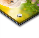 Golden Puppy Discovers The Perfect Stretch Position Impression Acrylique