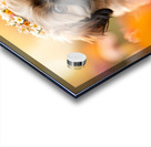 Shih Tzu Puppy Discovers Beautiful Flower Crown Impression Acrylique