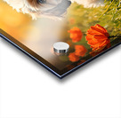 Happy Shih Tzu Puppy Rests After First Adventure Acrylic print