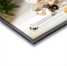 Shih Tzu Puppy Spots Delicious Treats Above Acrylic print