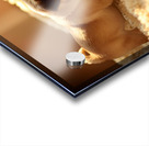 Pug Puppy Gently Wakes Sleeping Friend Acrylic print