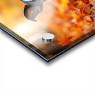 Boston Terrier Puppy Discovers Autumn Leaf Pile Impression Acrylique